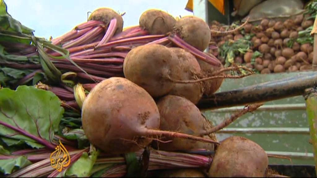 Capitalism taking root in Cuba