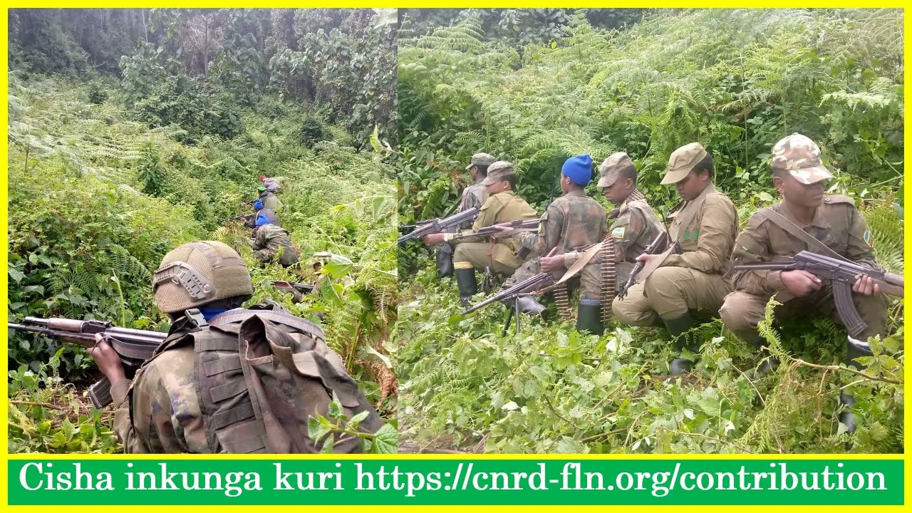 FLN yagabye igitero kuri RDF gihitana abatari bake! Intarumikwa zikomeje kugaba ibitero bikaze.