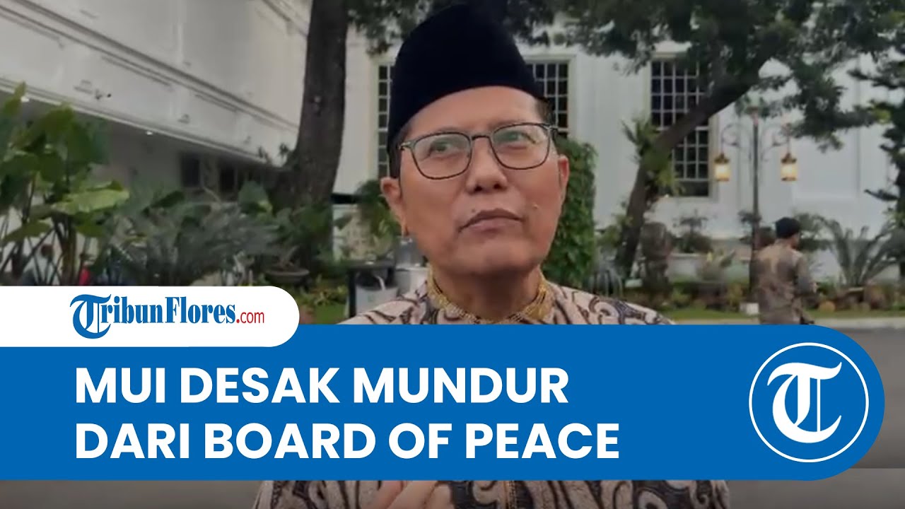Waketum MUI Cholil Nafis: Indonesia Tak Ragu Tinggalkan Board of Peace jika Tak Sejalan