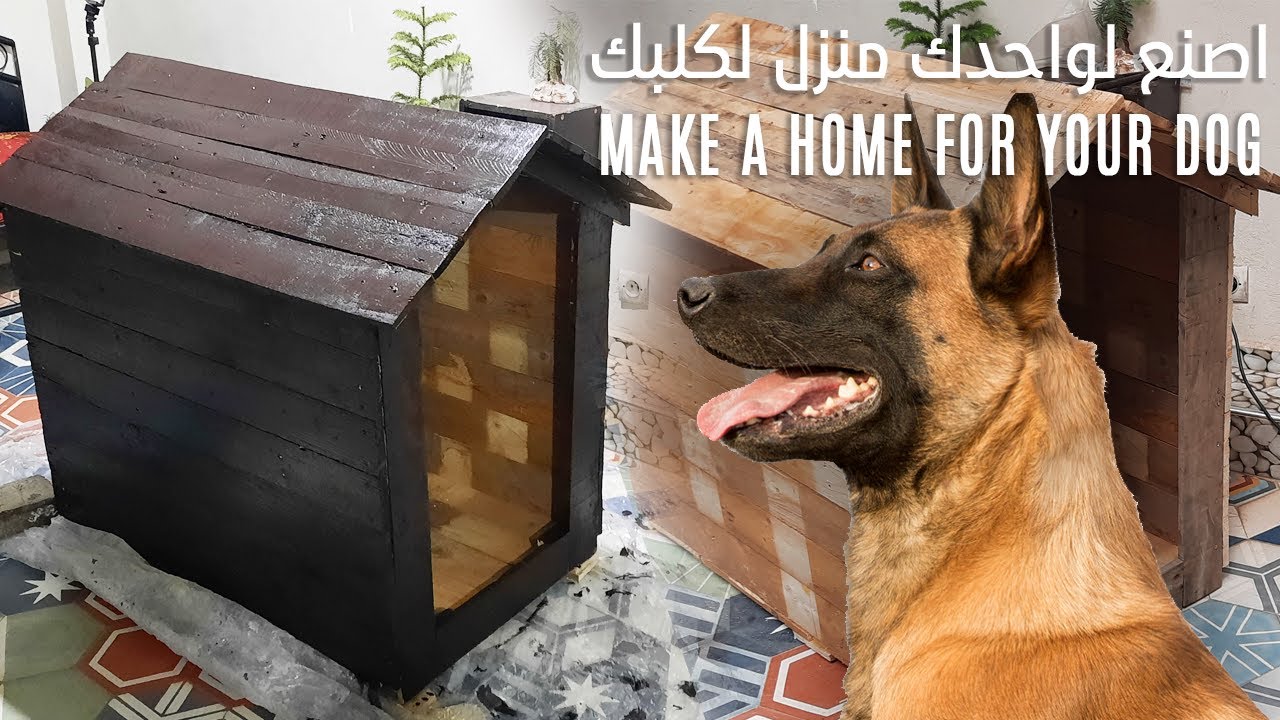 اصنع لوحدك منزل لكلبك  how to make a home for your dog