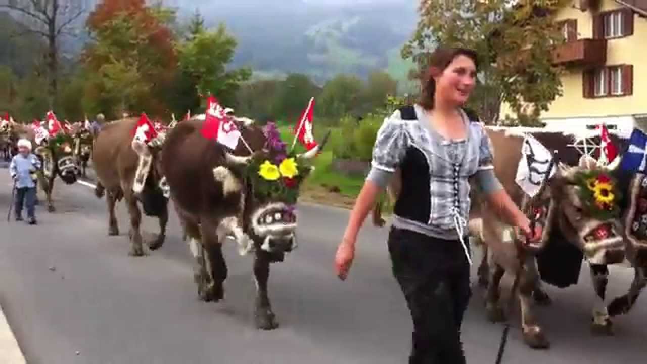 Alpabfahrt Fluonalp 2015