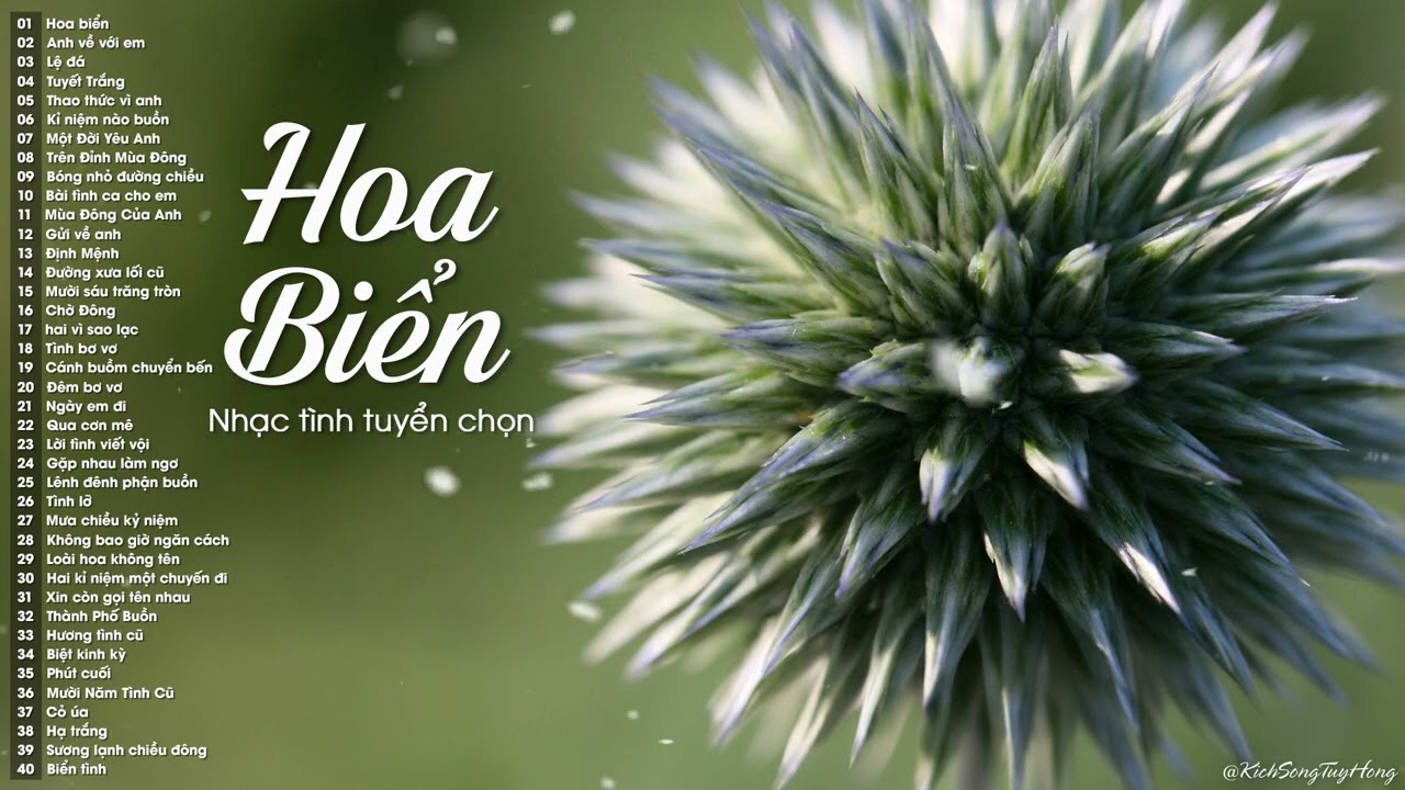 100 Bài Nhạc Tình Xưa Hải Ngoại Đặc Biệt Say Sưa Lòng Người - Hoa Biển, Anh Về Với Em