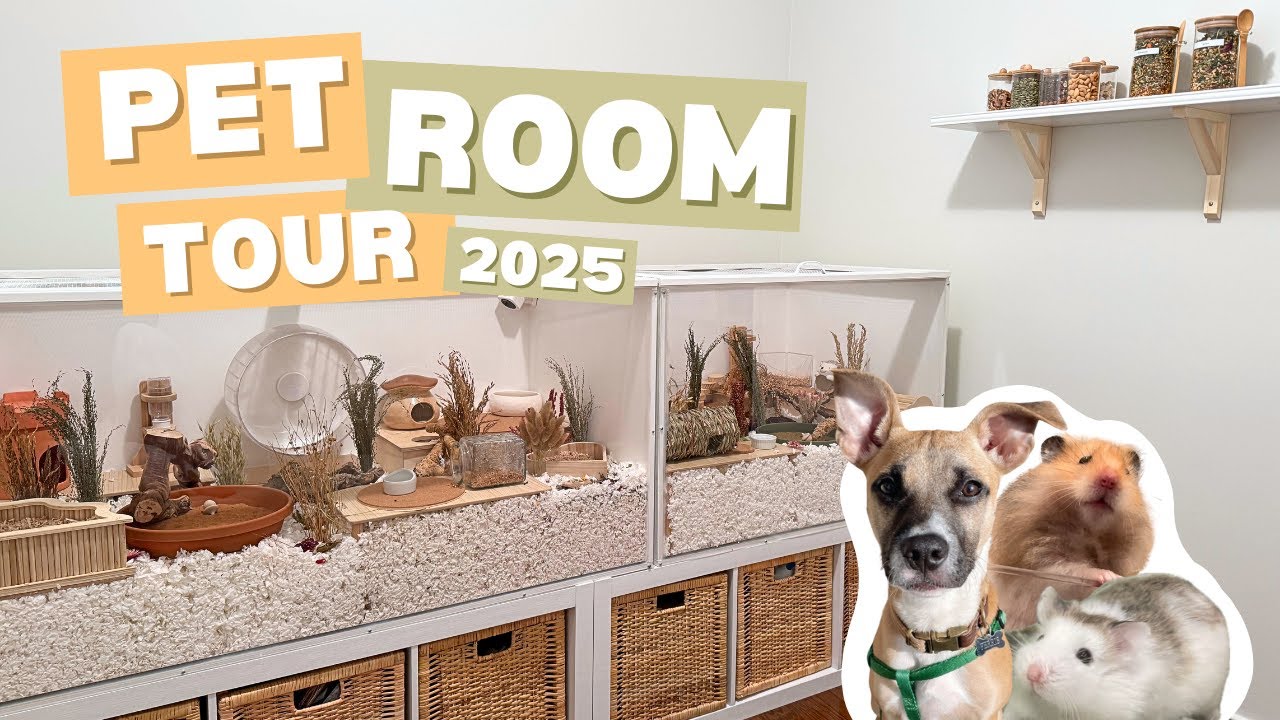 Pet Room Tour 2025