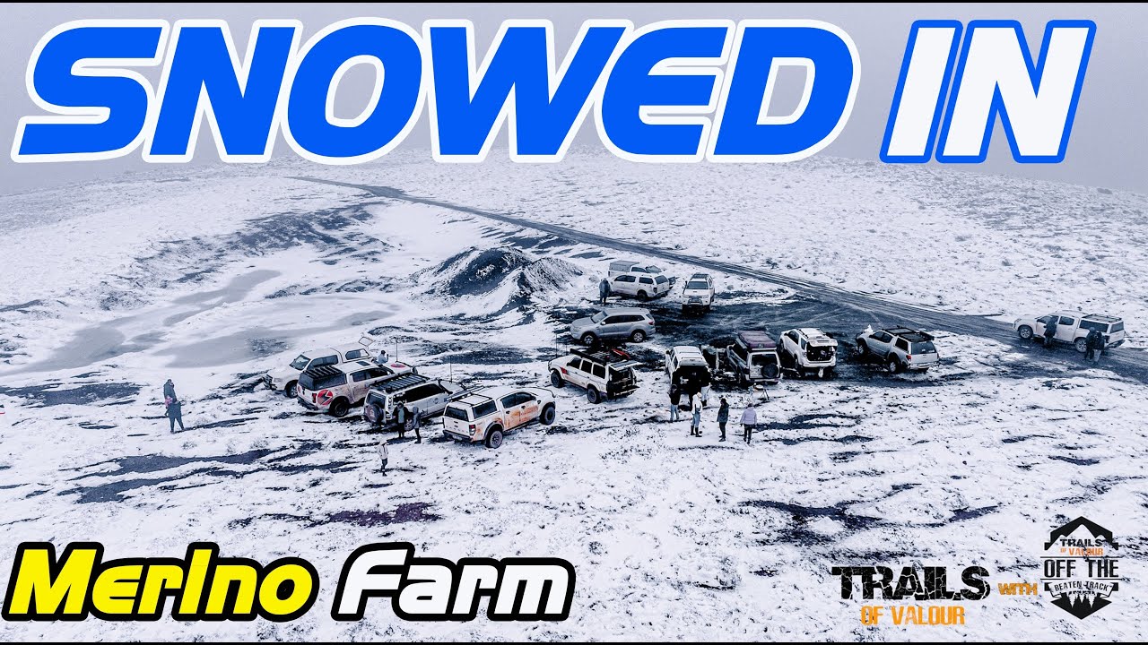 Snow Trip to Merino Farm 2023 - Amazing Winter Wonderland Drone Shots