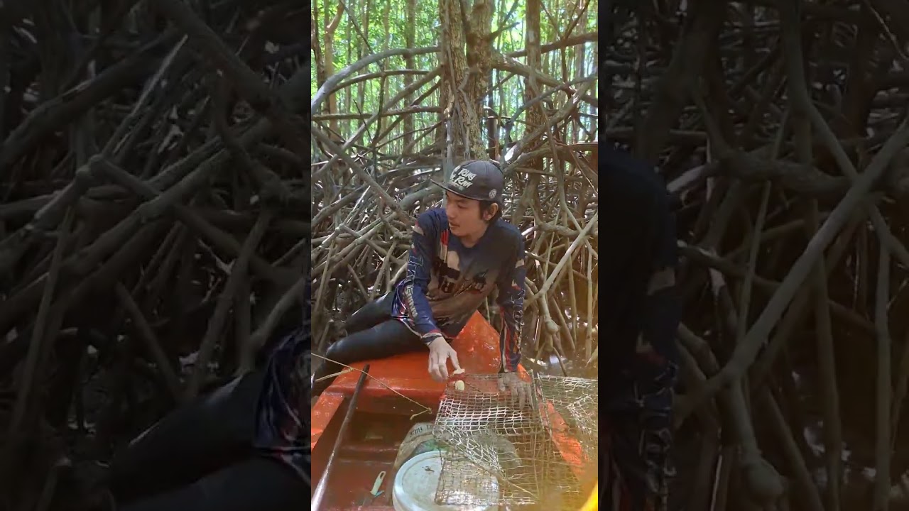 ep91   6ค่ำ พอมีตัวบ้าง.    #ยกลอบปูดำ #หาปูในป่าชายเลน #ฟีดดดシ #เทรนด์วันนี้ 