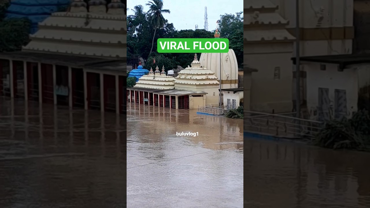 Baishi Pahache Kheliba Mina #shortsfeed #jajpur #viral #flood