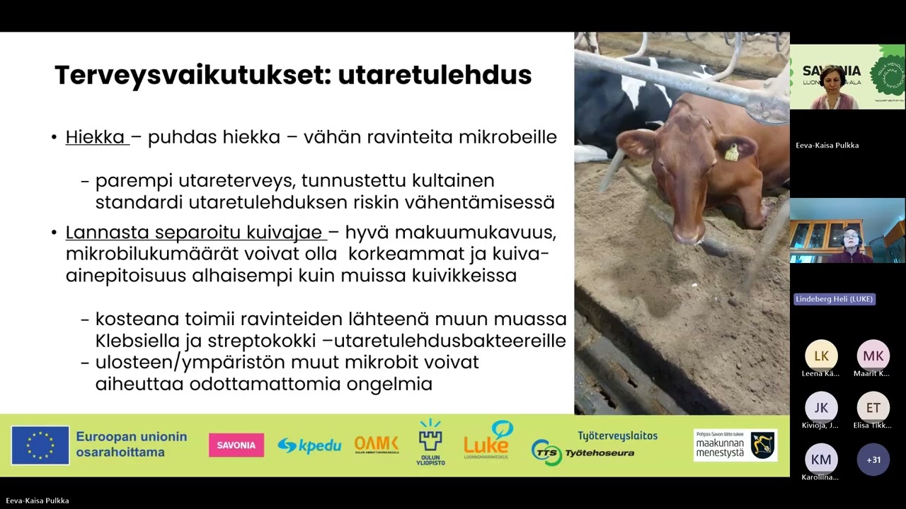 Monenmoista kuivituksesta