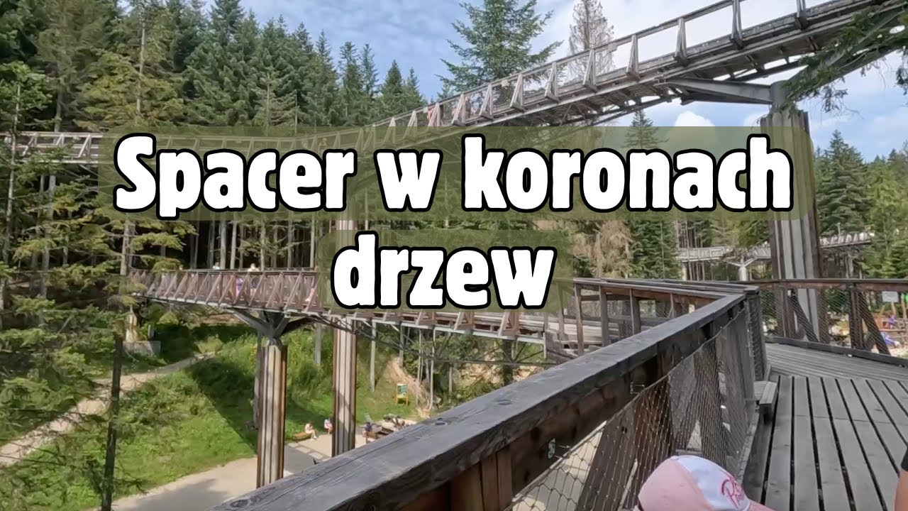 Brama w Gorce: ścieżka w koronach drzew, wieże i atrakcje dla dzieci | pełna relacja