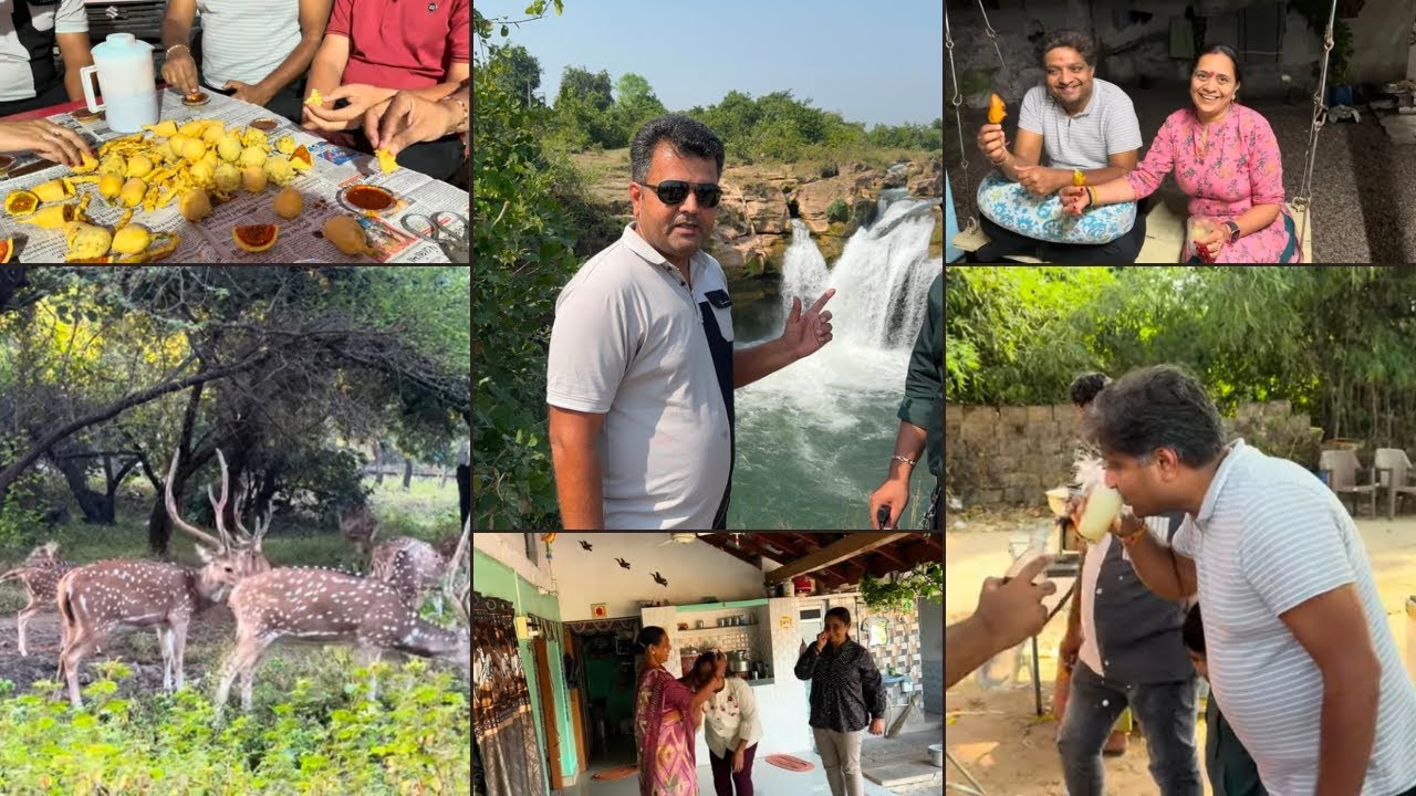 સાસણ ગાંડી ગીર માં જંગલ સફારી ની મજા, જમજીર ના ધોધ ની મુલાકાત અને ધારી ના ફેમસ મીક્સ ભજીયા ની જમાવટ
