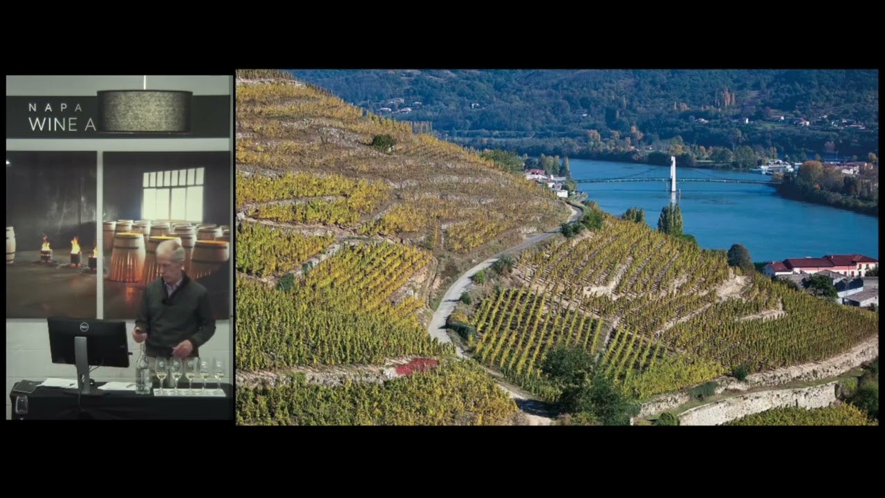 Viognier from Condrieu - Aromatic White Wines Class - Napa Valley Wine Academy