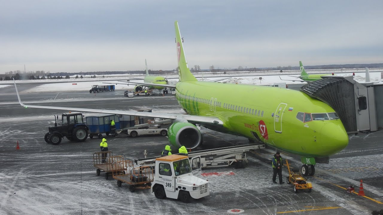 S7 Airlines, Boeing 737-800 Новосибирск - Санкт-Петербург