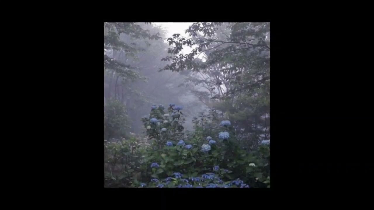 ✧*✧Majestic Edited Audios✧⁠*✧