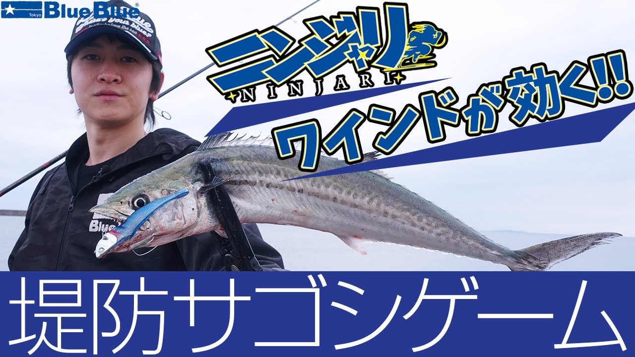 ワインドが効く！ニンジャリを使用した堤防サゴシゲーム！By斎藤孝大