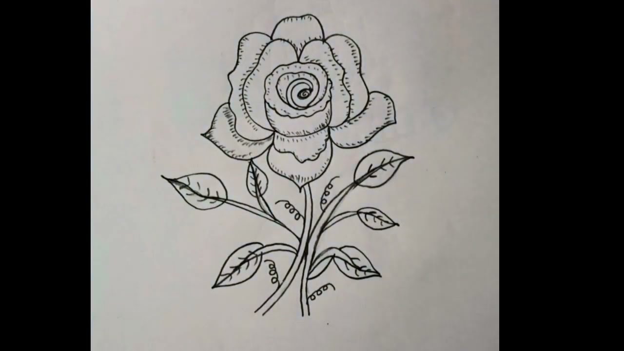 How to draw a 🌹 Rose@MahimaRangoliDesigns 