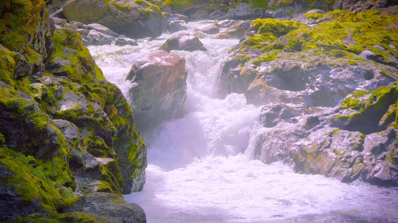 White Noise Sleep Waterfall Sounds | 10 Hours River & Water Sounds Ambience