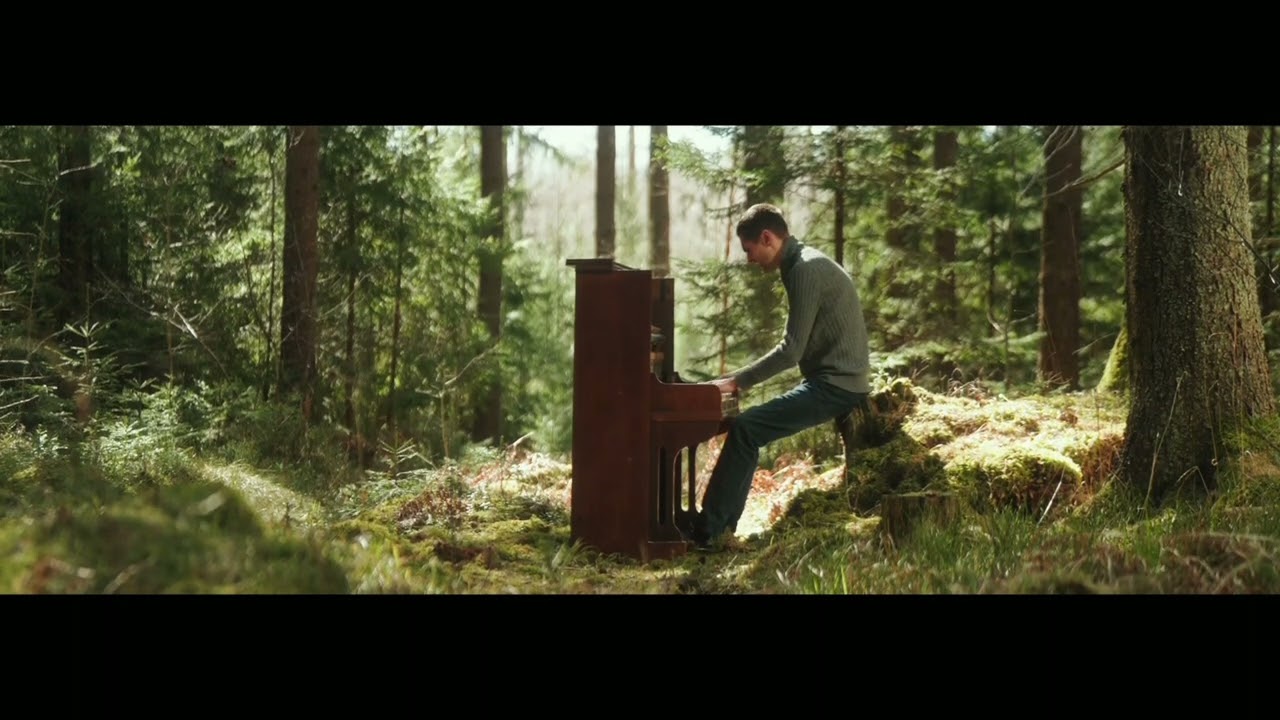Vestard Shimkus - Forest Improvisation