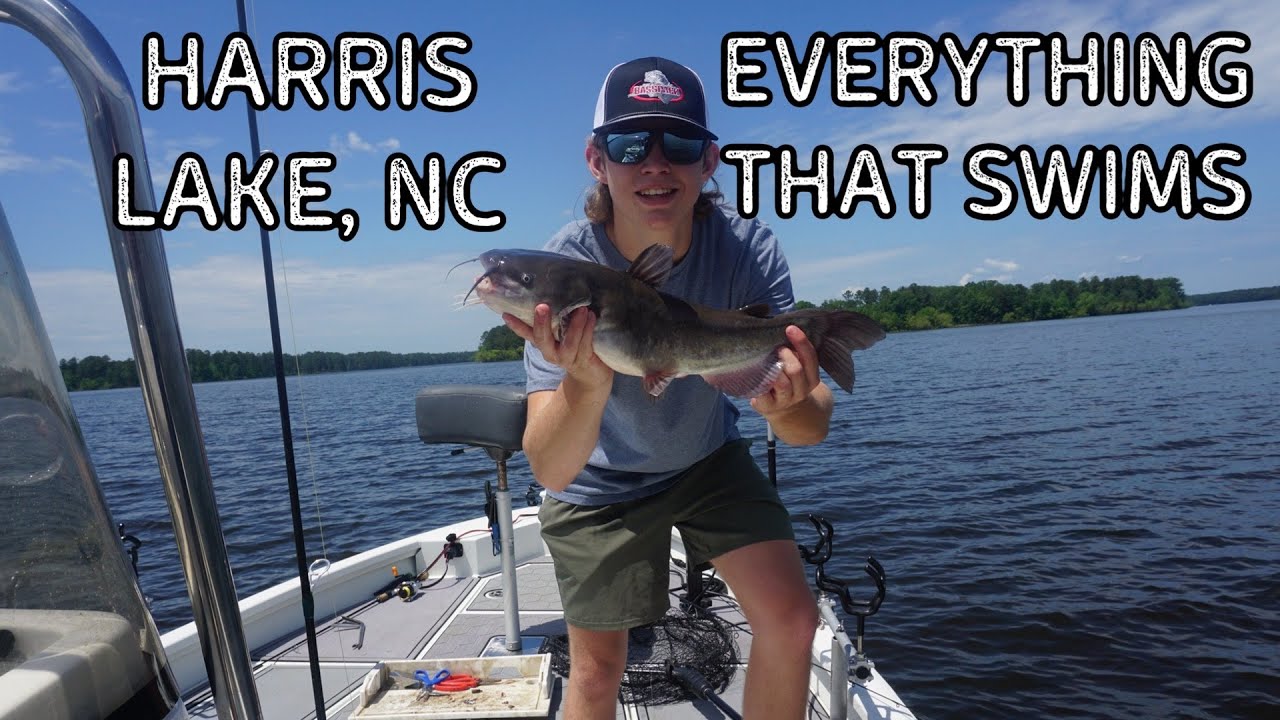 Multi Species Fishing at Harris Lake, North Carolina - APS