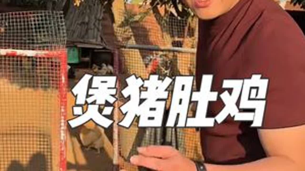 欧爸今天抓只鸡，拿来煲猪肚鸡，在老家就是好鸡随便吃#记录真实生活 #农村生活 #日常vlog
