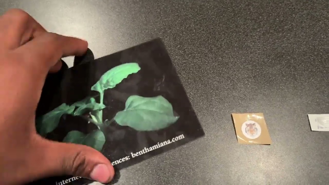 The Internet of Experiences: UC Davis Bulacard