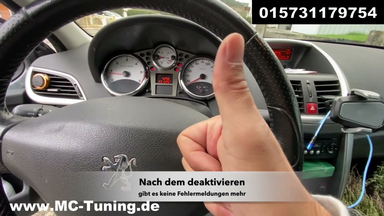 Dieselpartikelfilter Peugeot 207 Deaktivieren, Additiv Entfernen, AGR, DPF OFF