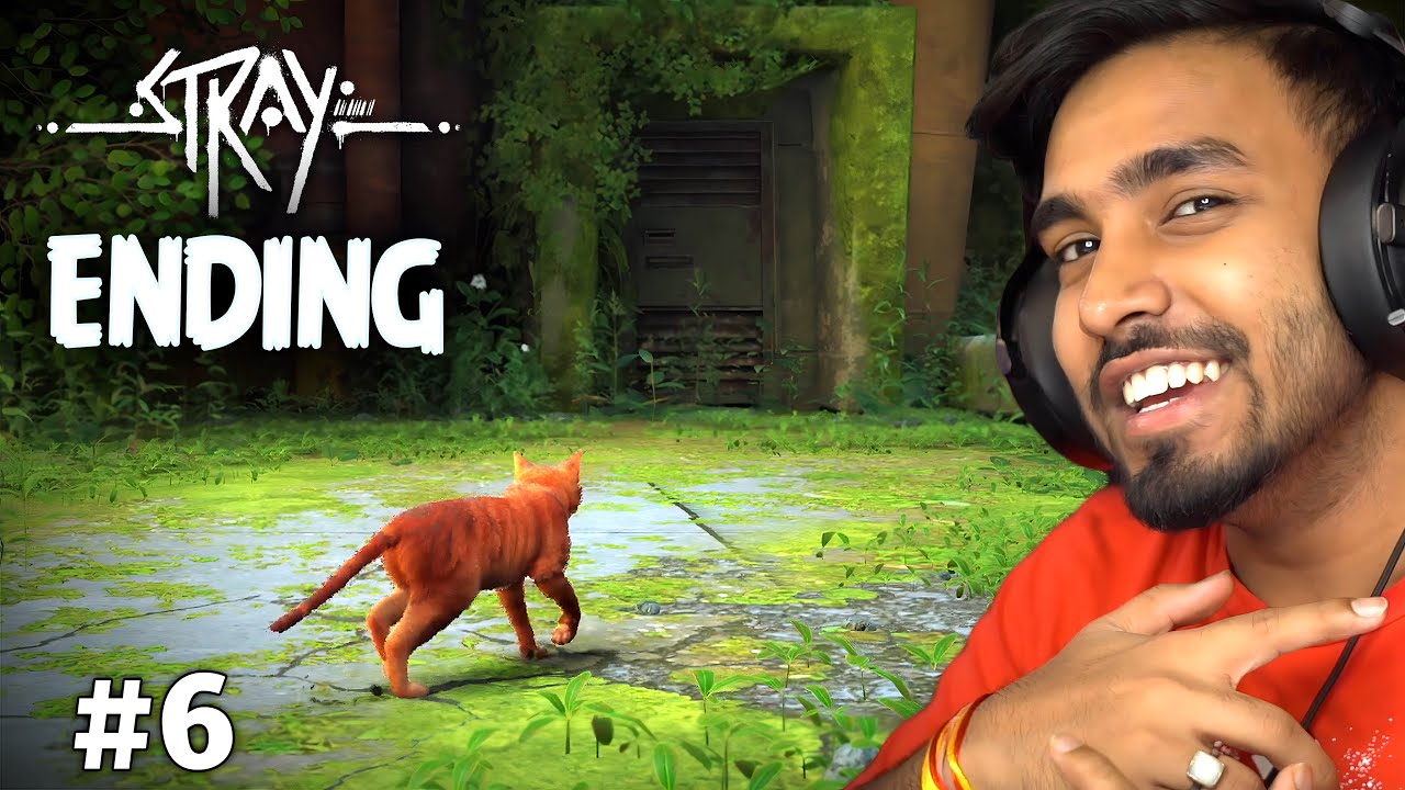 THE END | STRAY GAMEPLAY #6