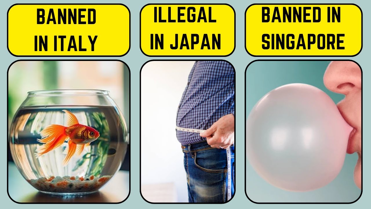 Did You Know These Normal Things Are Banned Around the World?