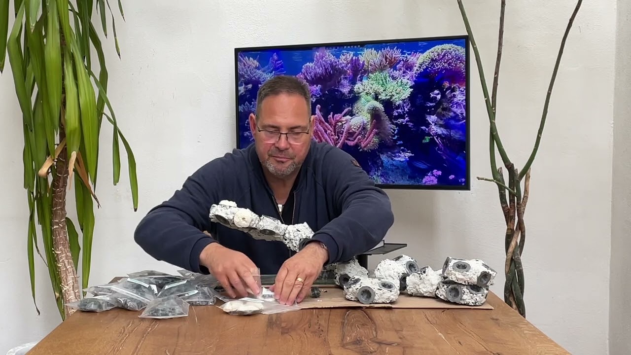 Wir bauen ein Steck-Riff! Vorstellung CoraroC System - der schnelle Riffaufbau