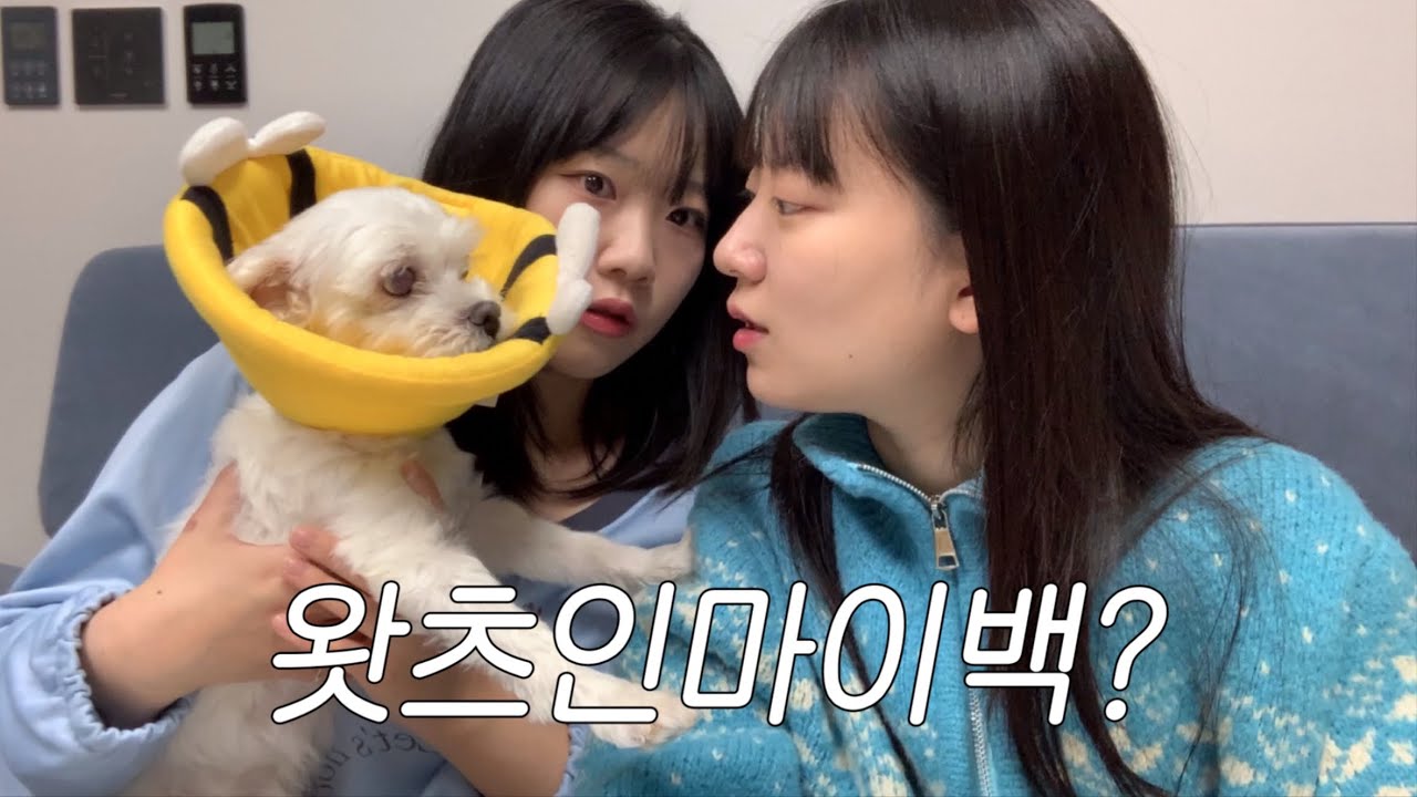 첫만남썰에 그 향수...