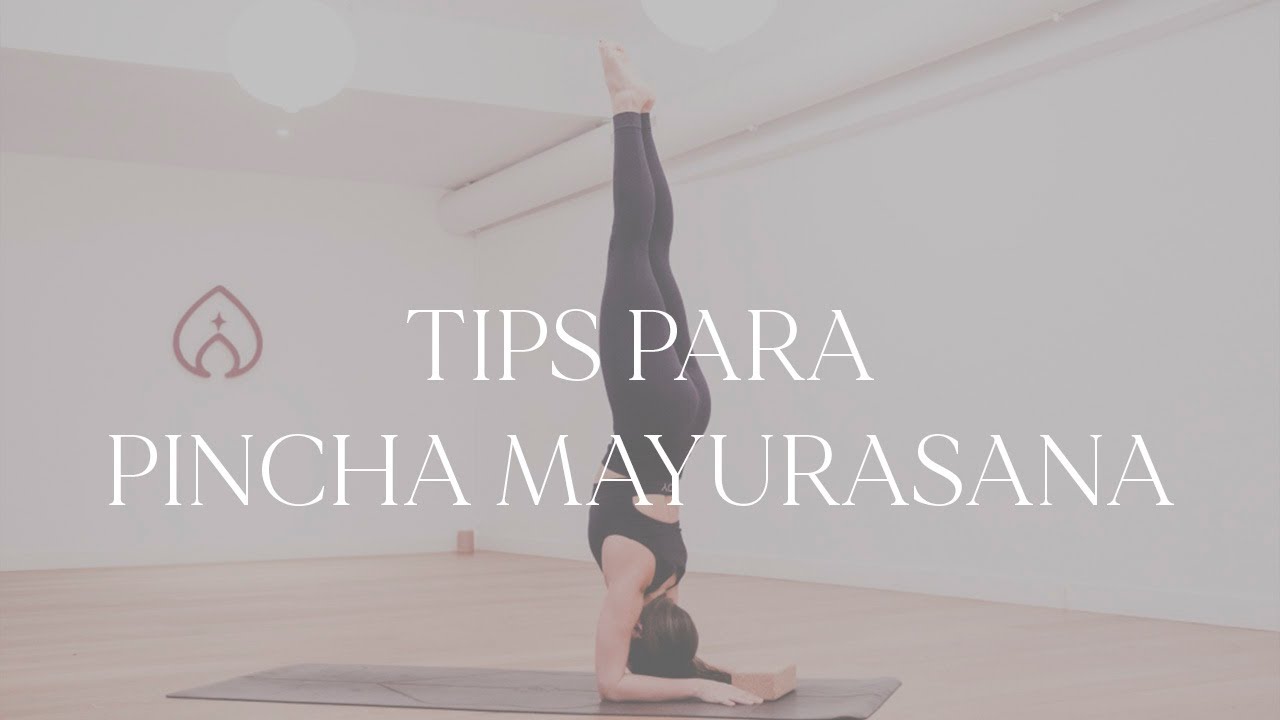 Pincha mayurasana: consejos para realizar la postura de forma segura