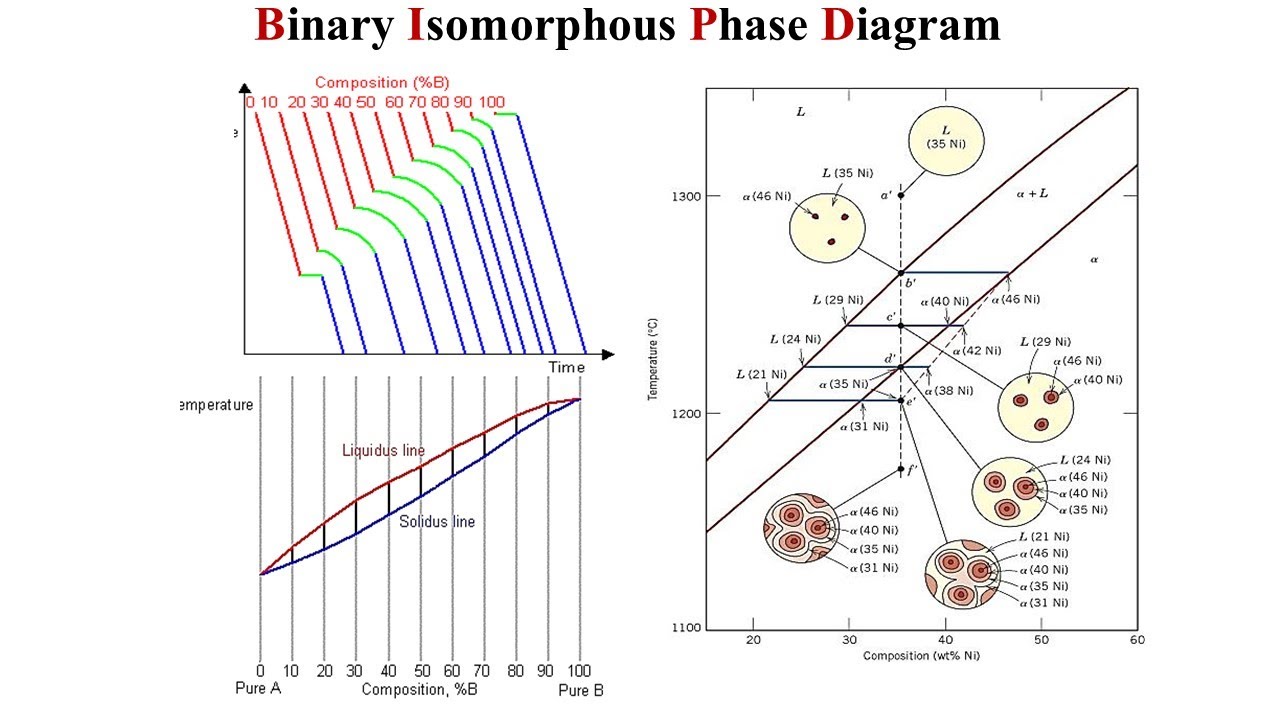phase diagrams 2 (Binary isomorphous phase diagram)