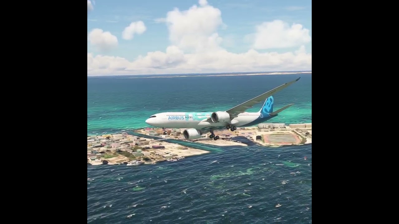 the carelessness of an airplane pilot 0214