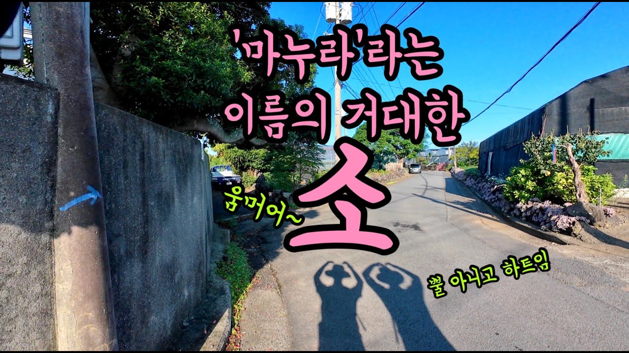 {씩씩} 두번째 장거리 올레길, 시작부터 위기에 봉착한 박조김부부 (20.0km)