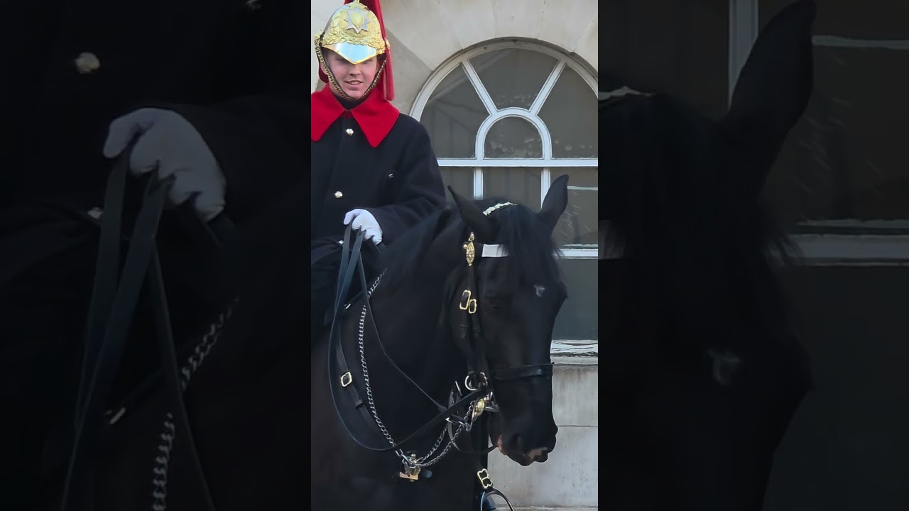3/03/ 2026 End of the Guard 4p.m#london #buckinghampalace #tourist #horse 