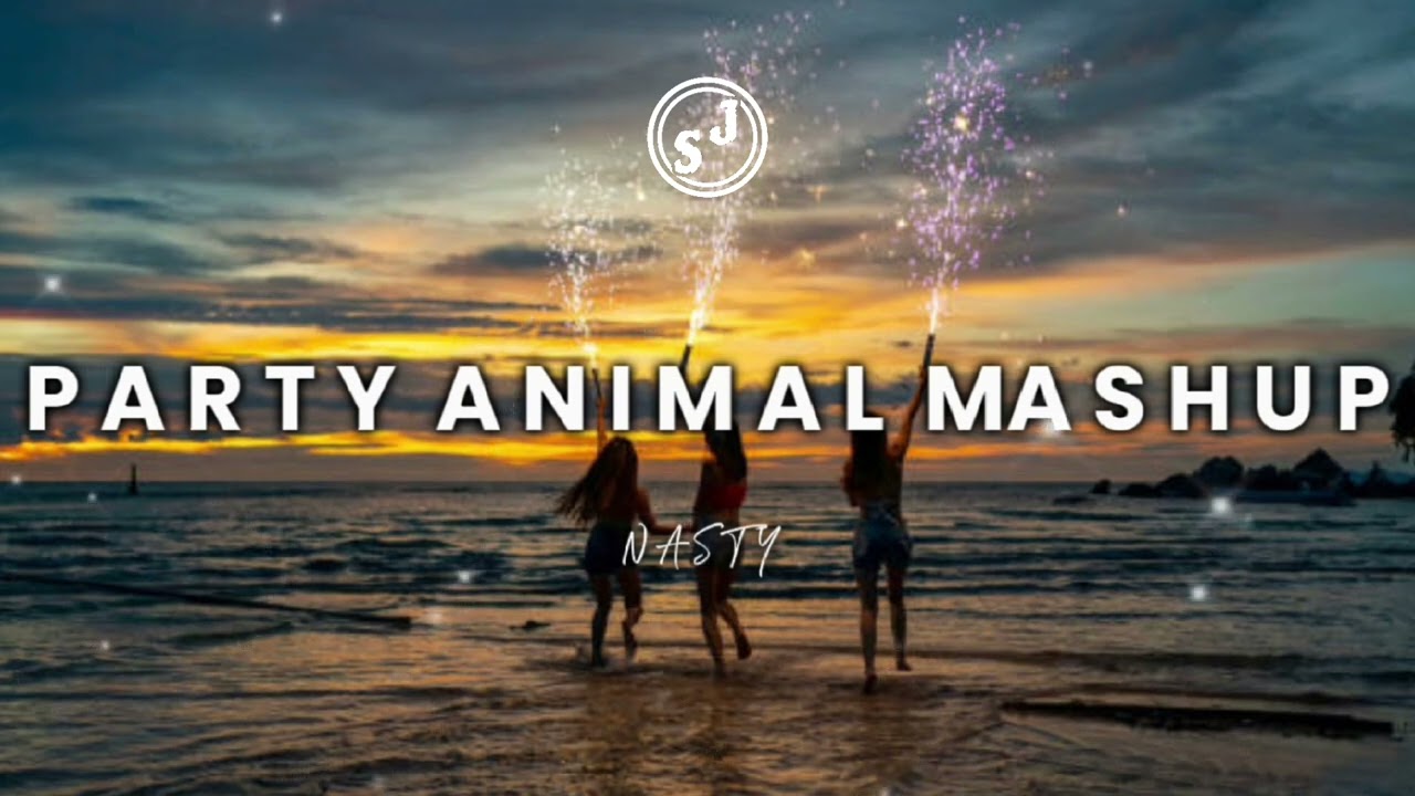 PARTY ANIMAL MASHUP - NASTY 