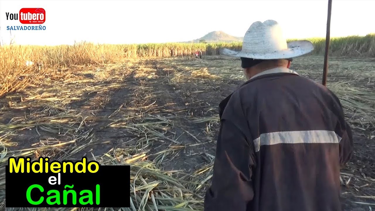 Como se miden las tarellas en el Cañal de Azucar El Salvador YOUTUBERO SALVADOREÑO
