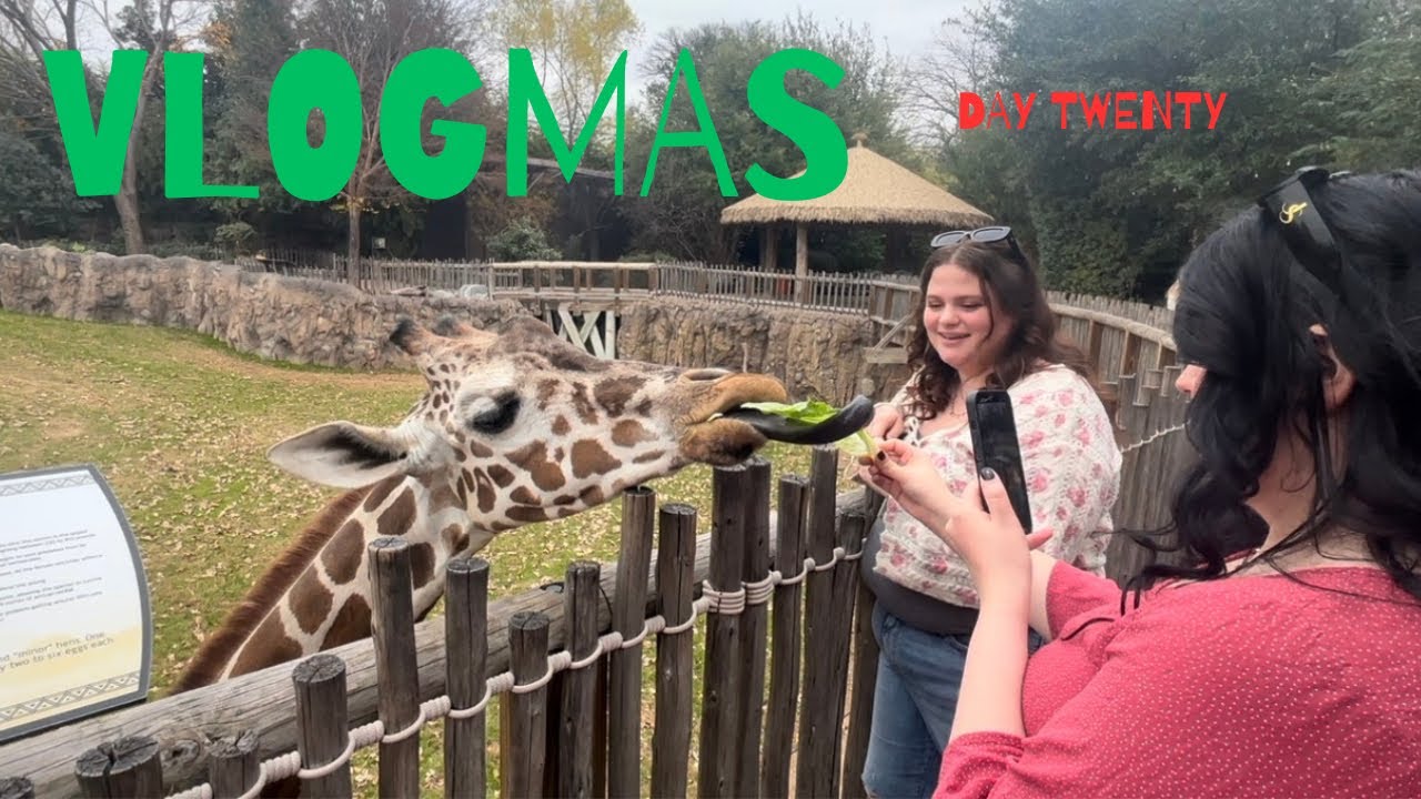 vlogmas day 20:  zoo again !!! 🦍🦁