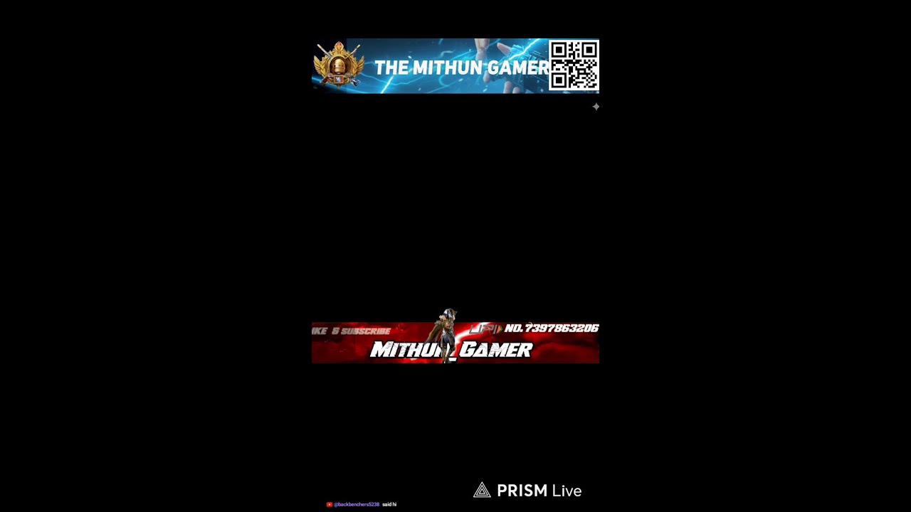 the mithun Gamer