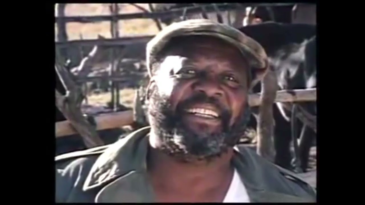 KWAKHALA NYONINI | MZANSI STORIES | BACKINTHEDAYMZANSI