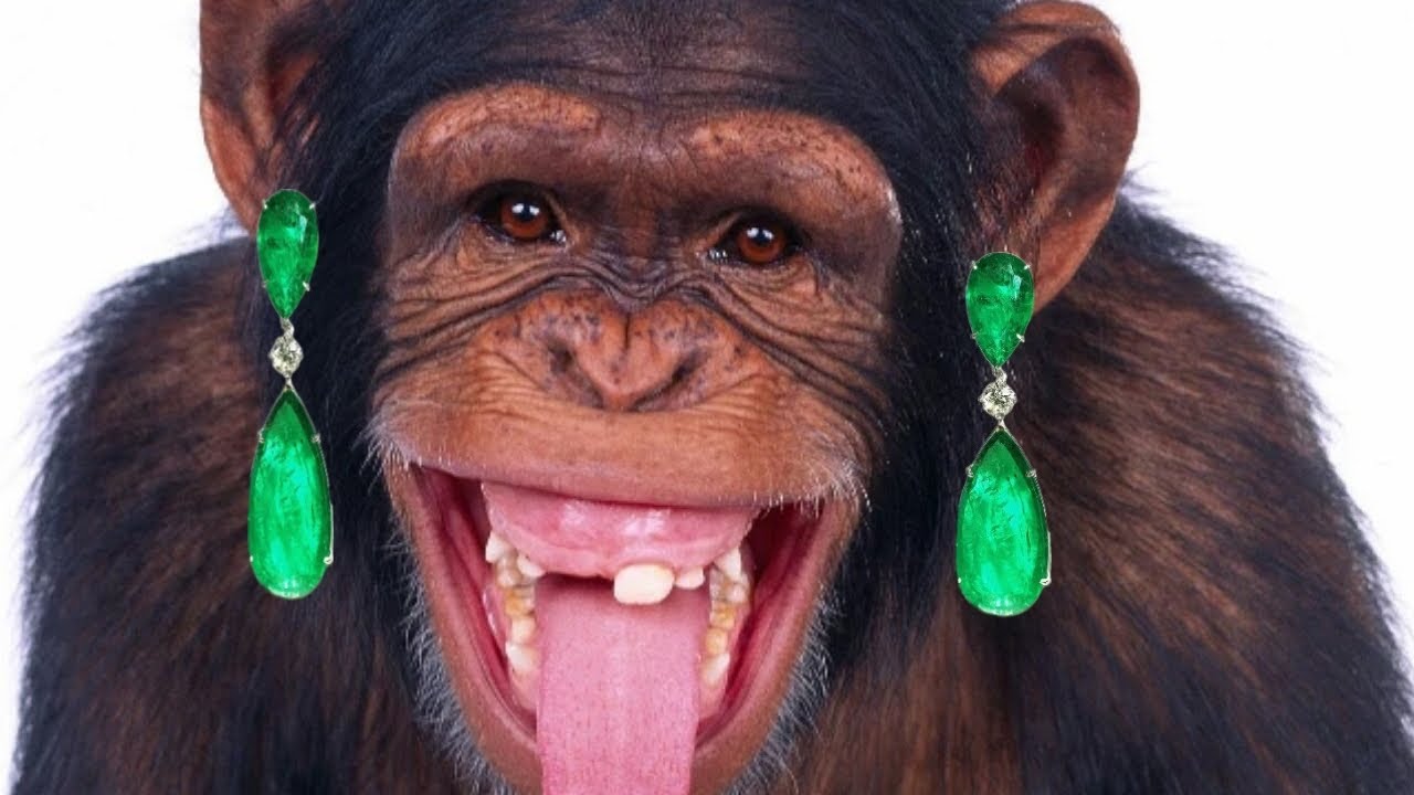 Frasi divertenti con immagini esilaranti!(PRIMA PARTE)
