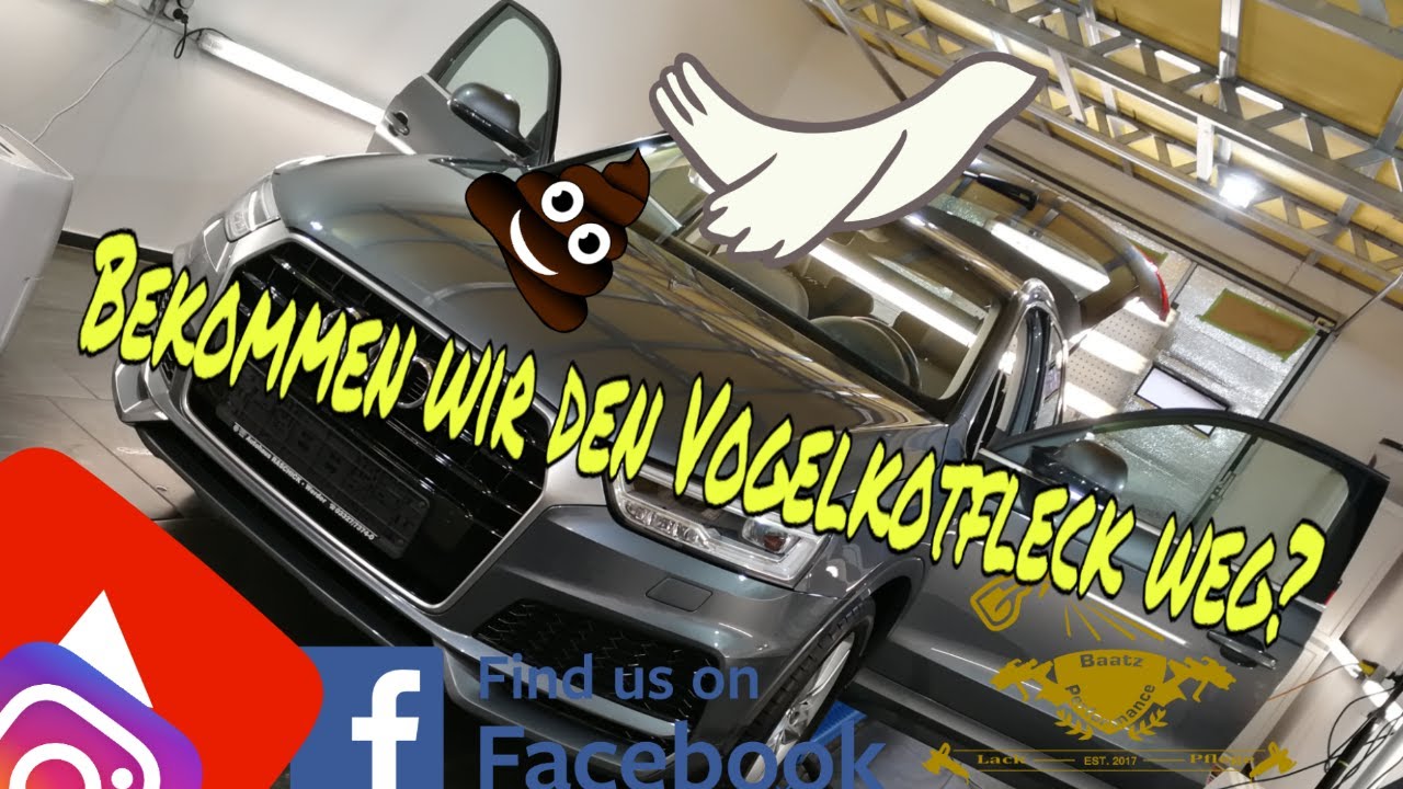 Vogelkot-Flecken vom Lack thermisch entfernen | Erfahrungsaustausch mit den Autolackaffen