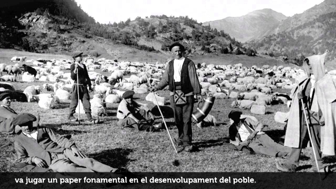 L'ESTANY: HISTÒRIA I NATURA