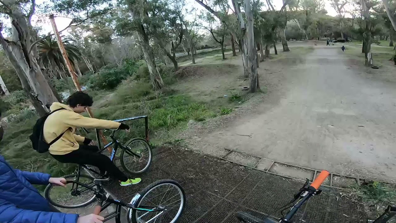 BOSQUE DE LA PLATA