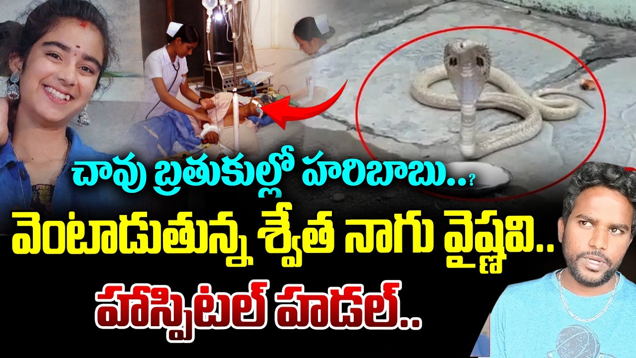 వెంటాడుతున్న శ్వేత నాగు వైష్ణవి.. హాస్పిటల్ హడల్ | YouTuber Vaishnavi Latest Update | Andhra Prabha