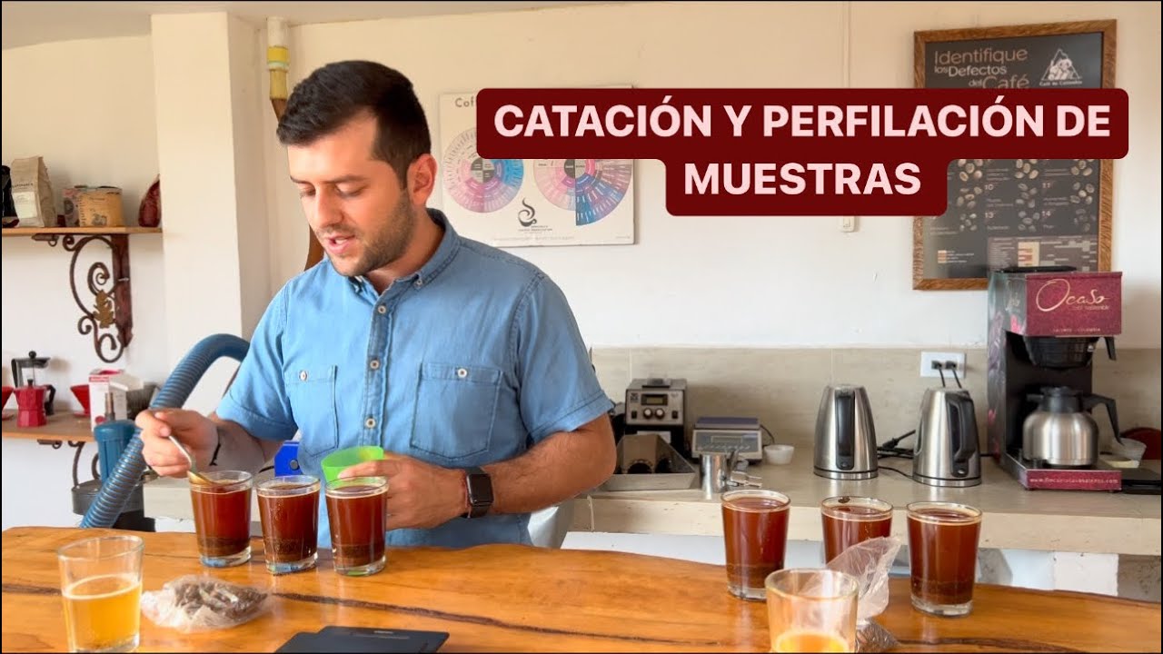 🔥☕️ Catación y perfilación de muestras de café