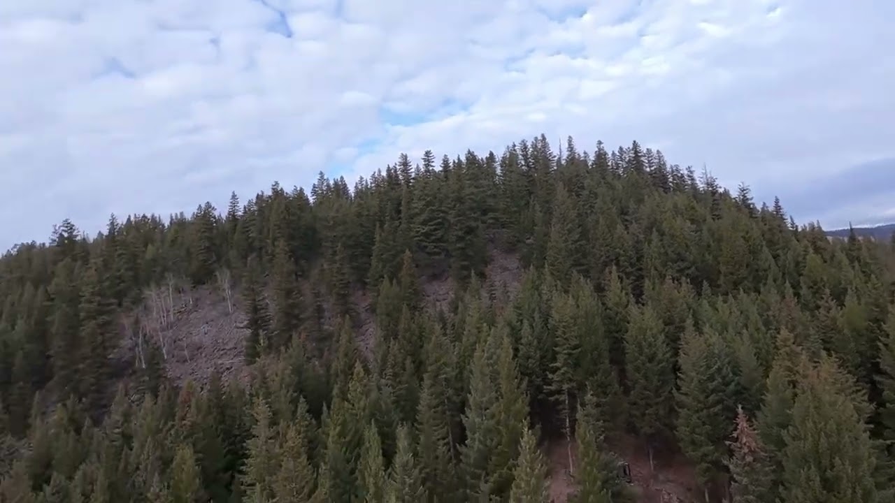 Flight Vlog #2 - Forest flying (@ the cabin) - DJI NEO