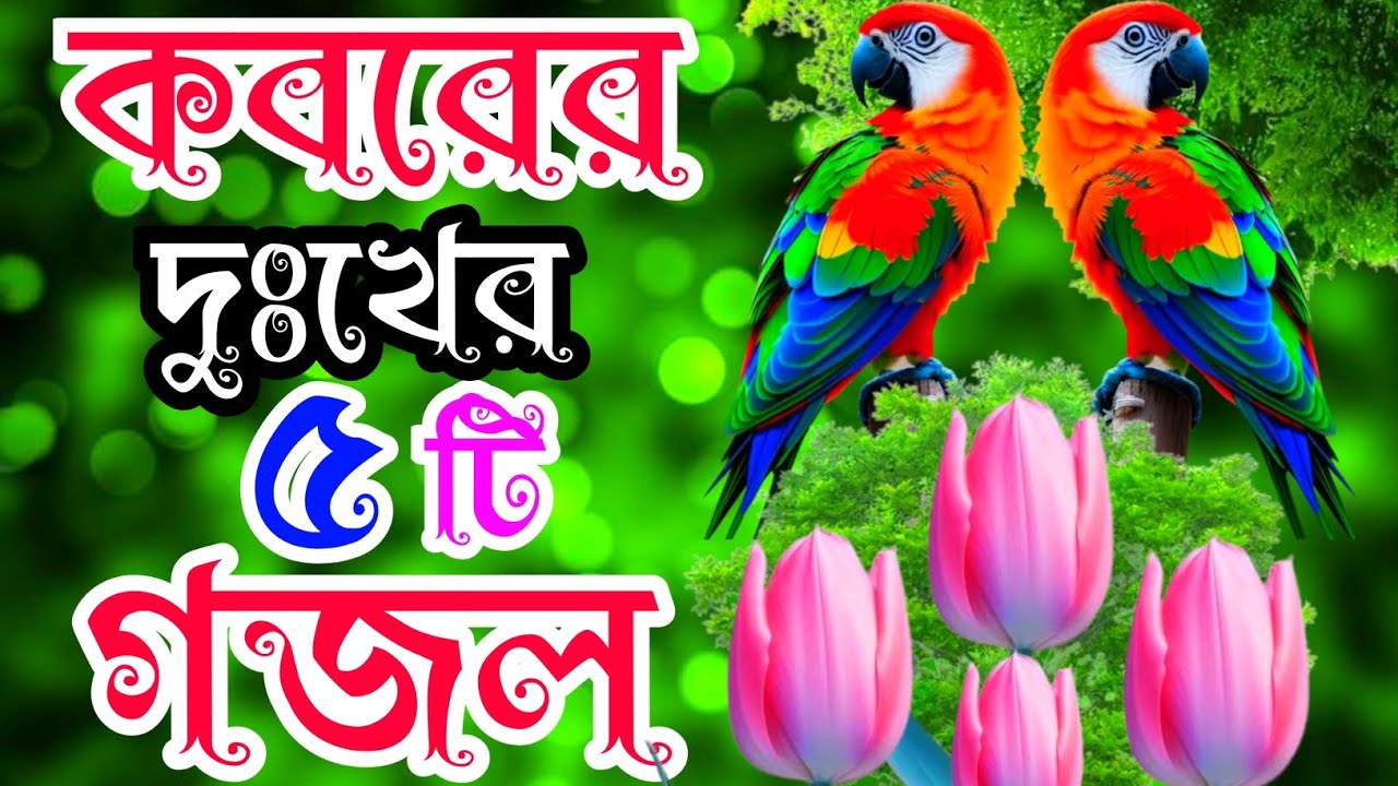দুঃখের সেরা ৫টি গজল কবরের খুবই দুঃখের গজল শেষ বিদায়ের কষ্টের গজল। Best Islamic Song Emotional Gojol 