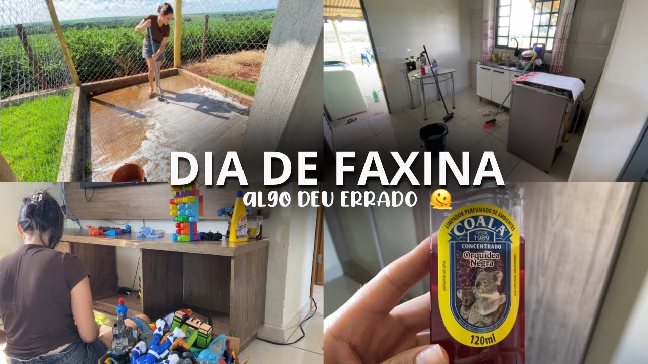 Sexta-feira com faxina | uma coisa acabou não dando certo 