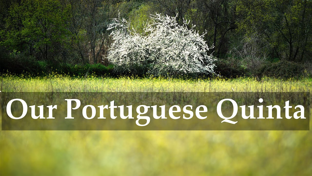 Working on Our Portuguese Quinta