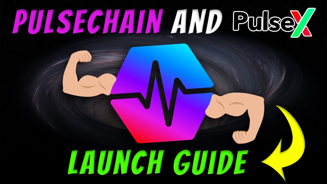 OUTPERFORM EVERYONE on PulseChain PulseX Launch | How To Guide