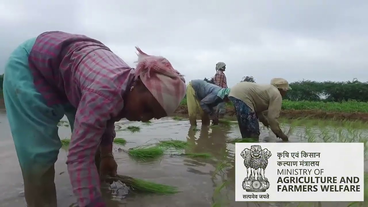NCDC Documentary English